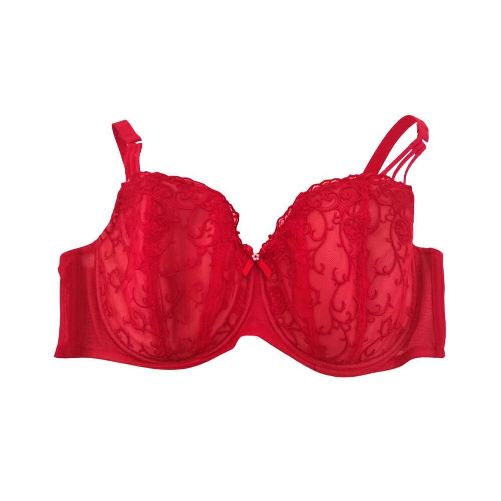 Hips & Curves Red Lace Plus Size Underwire Bra 40DD